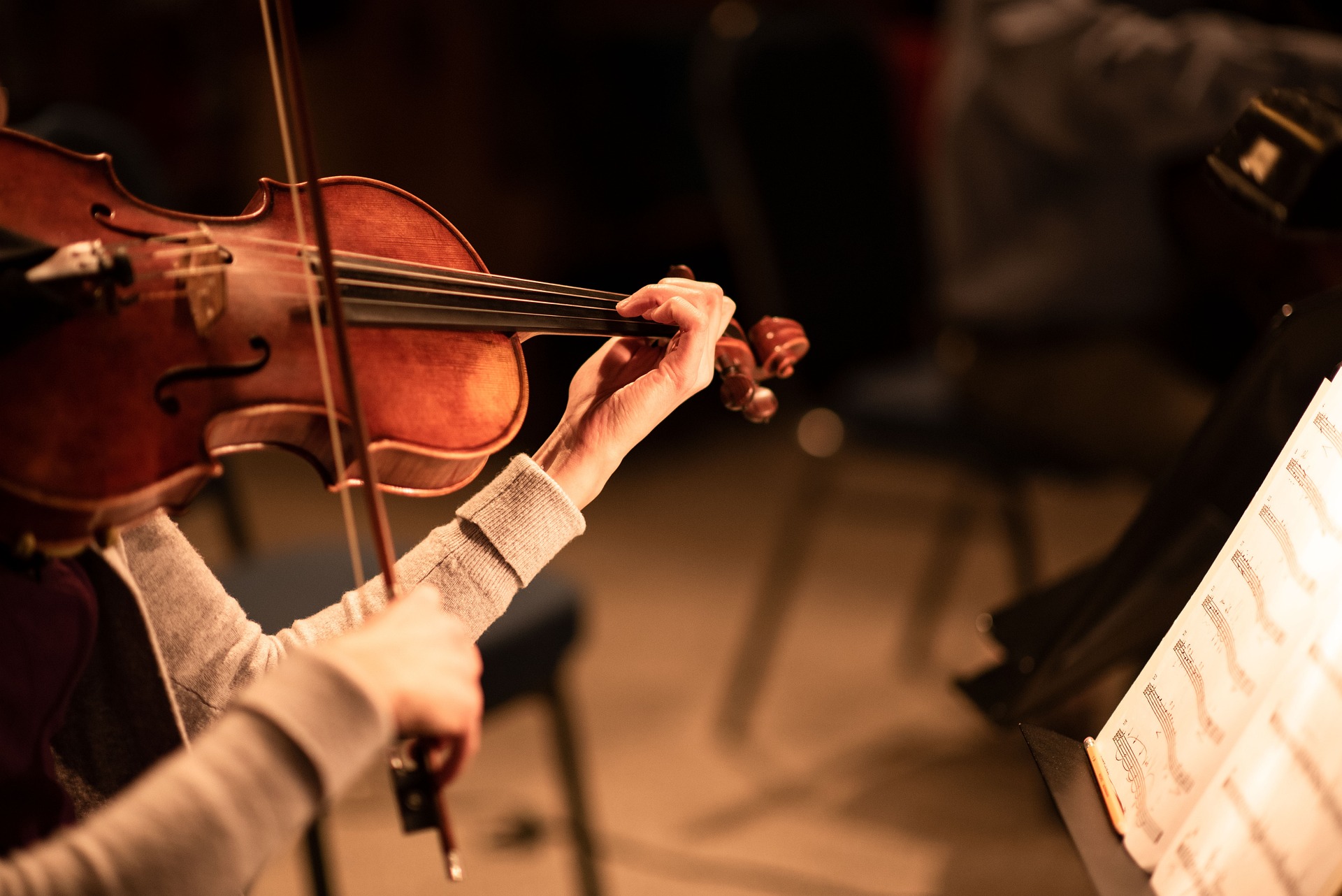 Professeur de violon diplômé – cours à domicile Hauts-de-Seine